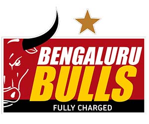 bengaluru bulls logo