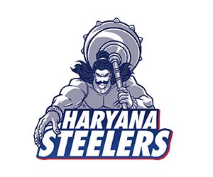 haryana steelers logo